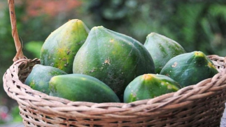 কিডনিতে পাথর হলে এড়িয়ে চলুন পেঁপে...