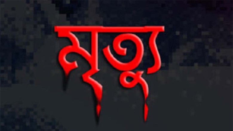 আমতলীতে বাঁশ কাটতে গিয়ে বিদ্যুৎস্পৃষ্ট হয়ে বৃদ্ধের...
