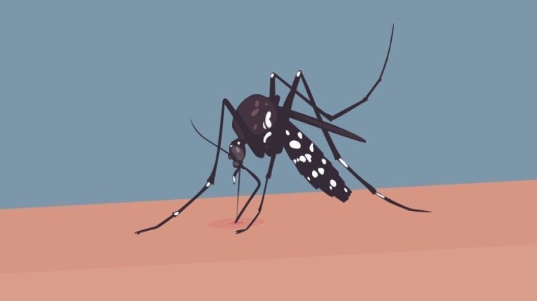 গত ২৪ ঘণ্টায় ডেঙ্গুতে আরও ৬ জনের মৃত্যু: ৫৮৬ নতুন ...