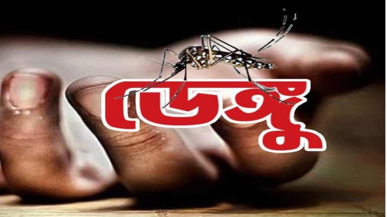 ২৪ ঘণ্টায় ডেঙ্গুতে আক্রান্ত হয়ে আরও পাঁচজনের মৃত্য...