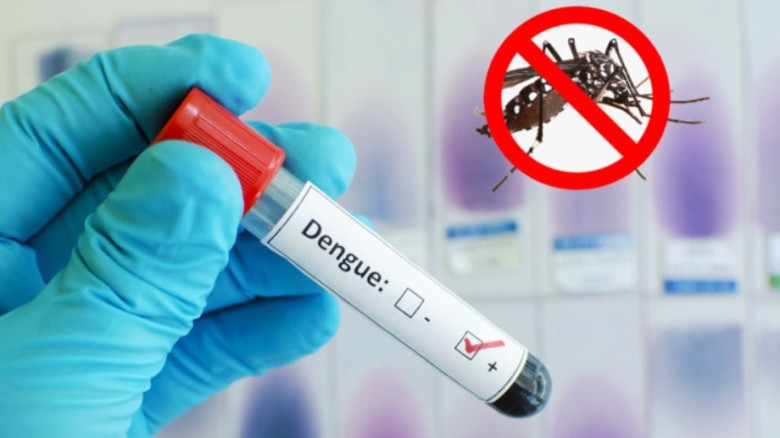 ডেঙ্গু রোগীদের জন্য বিশেষ ওয়ার্ড ও চিকিৎসক টিমের ন...