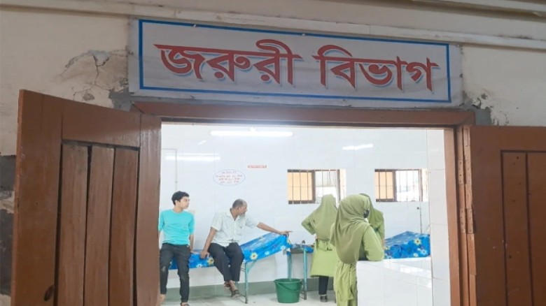 চাঁদপুরে হাতুড়ির আঘাতে বড় ভাইয়ের মৃত্যু...