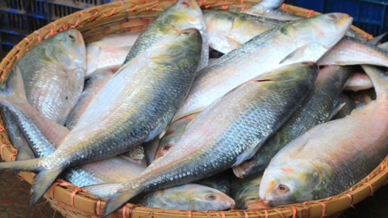 বেনাপোল দিয়ে দুই দিনে গেল ৫৬ মেট্রিক টন ইলিশ...