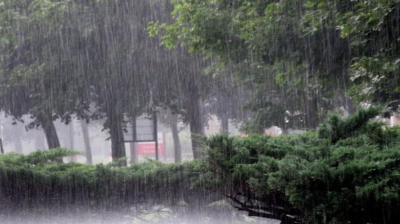 কাল থেকে বৃষ্টি বাড়তে পারে ঢাকাসহ ৫ বিভাগে...