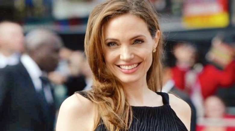 আমি আর আমার দেশকে চিনতে পারি না: অ্যাঞ্জেলিনা জোলি...