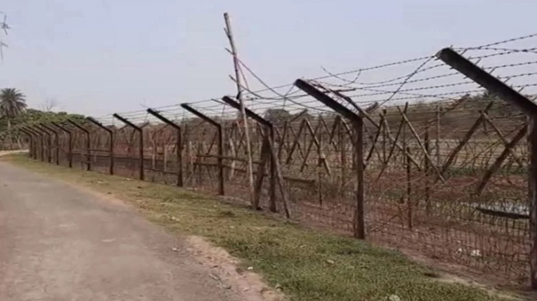 ভারতের সীমান্ত থেকে ১৯ বাংলাদেশিকে ফিরিয়ে এনেছে বি...