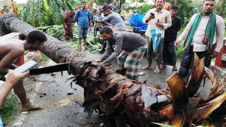 নওগাঁয় আকস্মিক ঝড়ে ঘরবাড়ি, দোকানপাট ও গাছপালার ব্য...