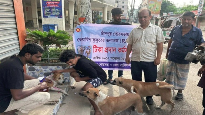 চাঁদপুরে পথ কুকুরকে জলাতঙ্ক টিকা প্রয়োগ, জননিরাপত্...