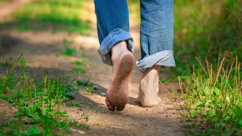 মানসিক চাপ কমাতে খালি পায়ে হাঁটা ও গাছের সংস্পর্শ...