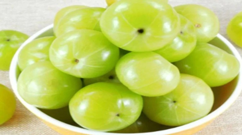 আমলকির ১০টি উপকারিতা, রোগ প্রতিরোধে কার্যকর ভেষজ ফ...