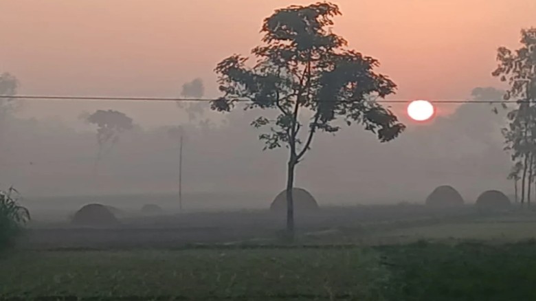 নীলফামারীতে হেমন্তের আগমনে শীতের বার্তা...