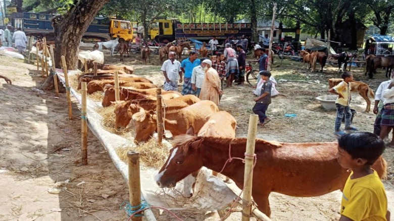 উত্তরবঙ্গের ঐতিহ্যের মহোৎসব ‘ঢেমঢেমিয়া কালিমেলা’...