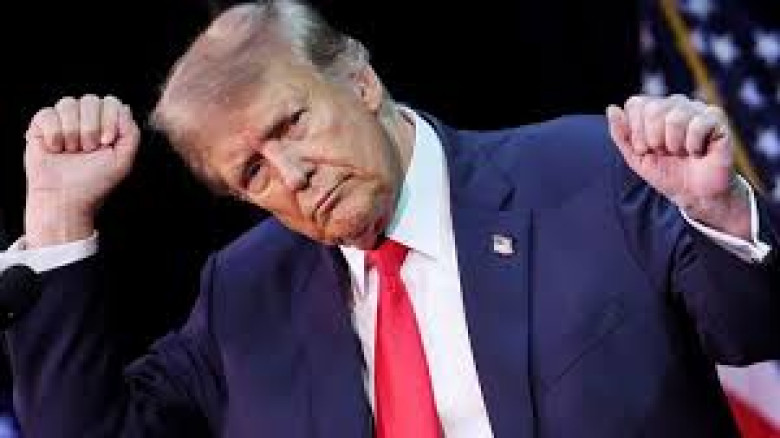 শাহবাজ শরিফকে নিয়ে ব্যঙ্গ পাকিস্তান নয়, 